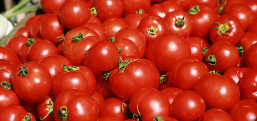 Preparar sopa de Tomates
